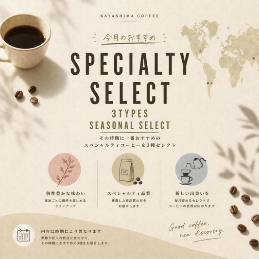 スペシャリティコーヒー 3種セット