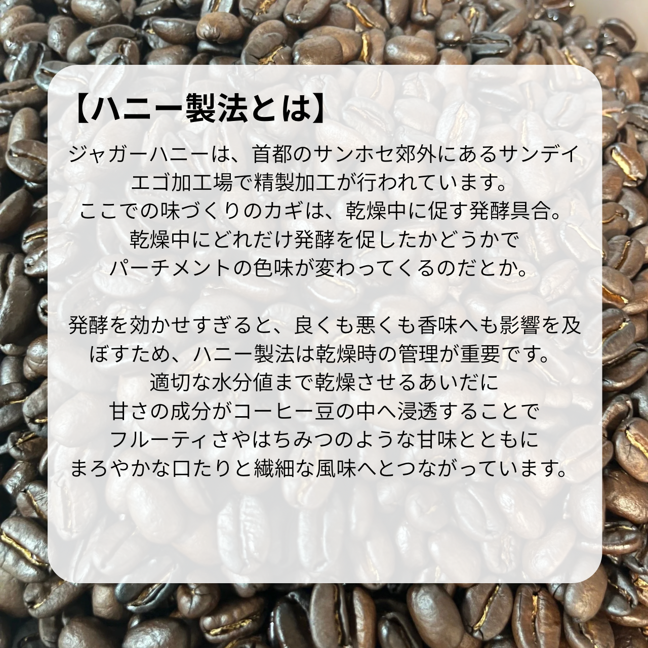 コスタリカ ジャガーハニー