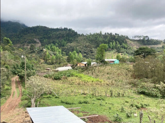 Honduras EI Pino