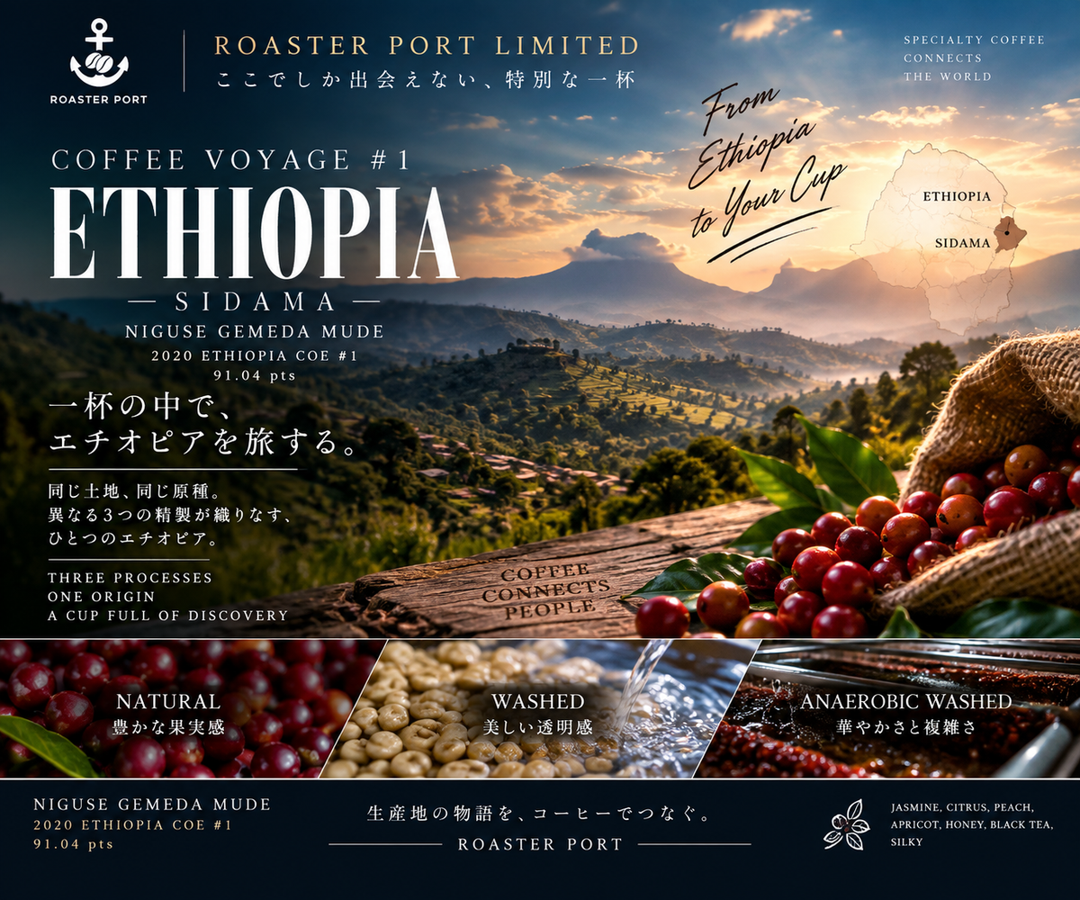 【Ethiopia】 Coffee Voyage Limited Blend ROASTER PORT限定販売
