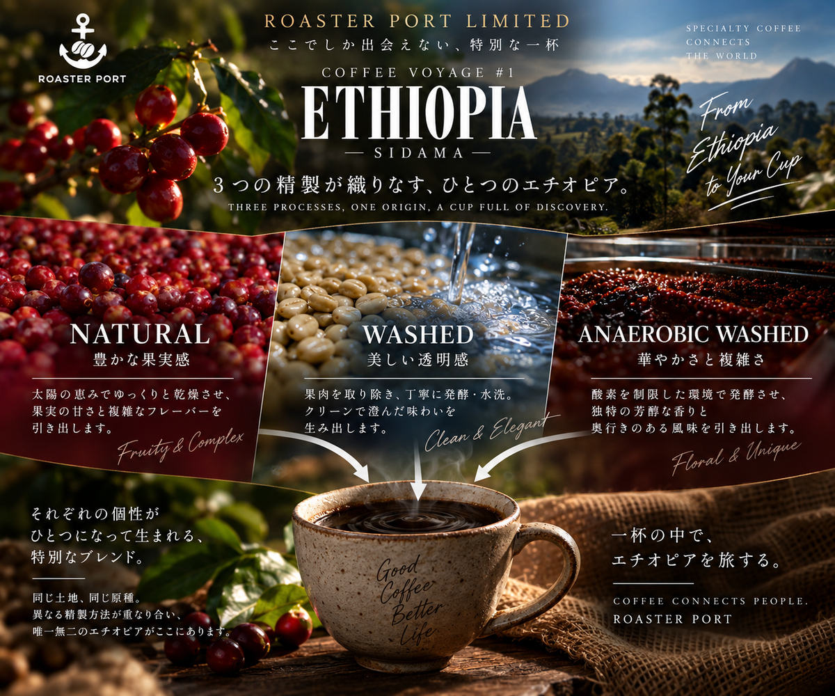 【Ethiopia】 Coffee Voyage Limited Blend ROASTER PORT限定販売