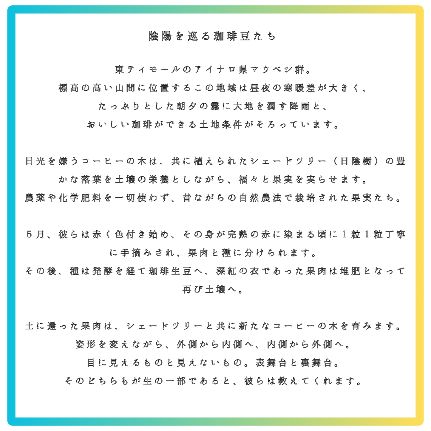 東ティモール産珈琲豆「珈琲果実の土」