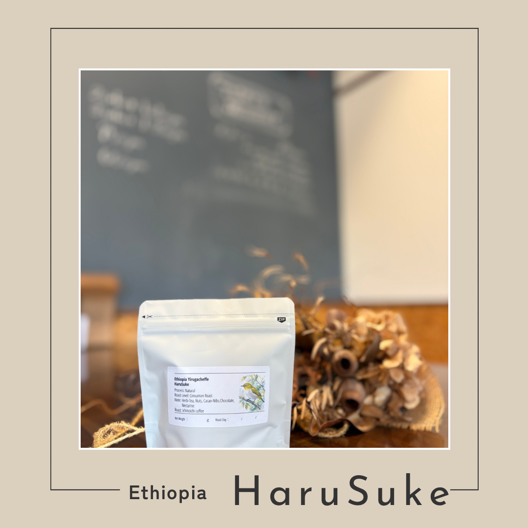 Ethiopia HaruSuke