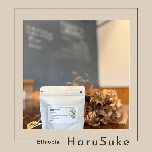 Ethiopia HaruSuke