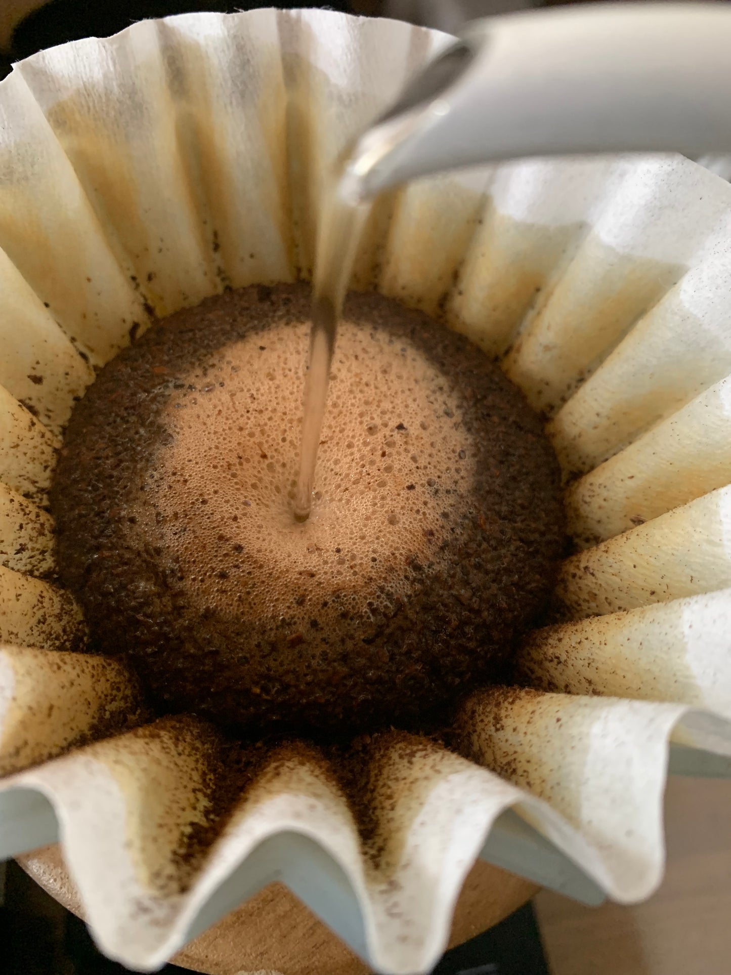 VENEZUELA Mucucay Washed