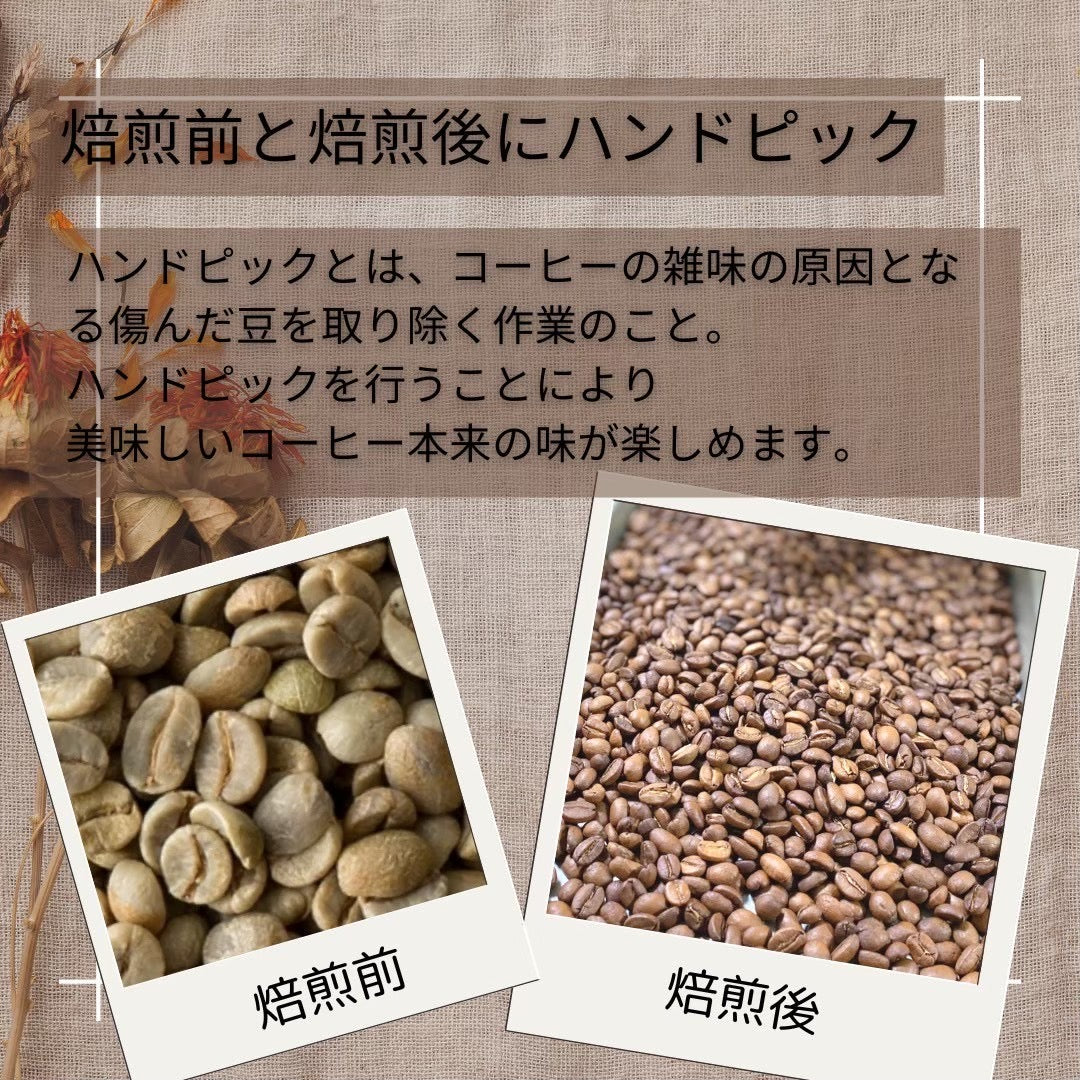 手網焙煎珈琲 泥男 マッドマン