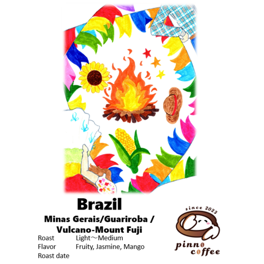 BRAZIL (Guariroba農園) Anaerobic natural